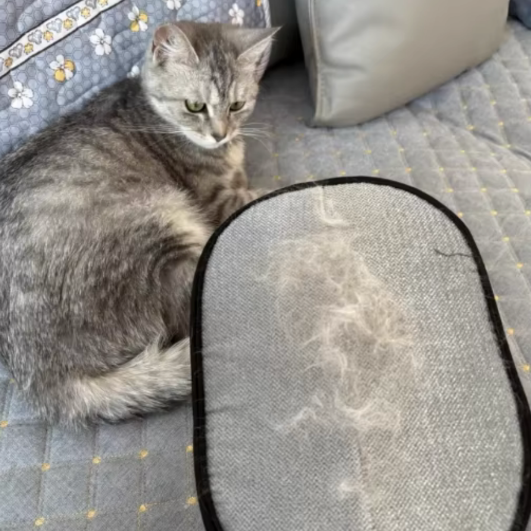 Premium Tüy Toplama Eldiveni™ | 30 Saniyede Temizlik