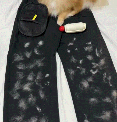 Premium Tüy Toplama Eldiveni™ | 30 Saniyede Temizlik